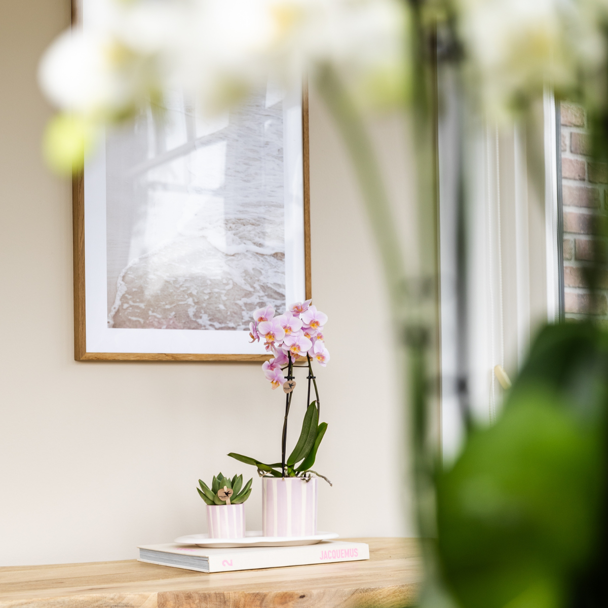 | Gift set Mediterranean Sunset small | Groene plant met roze Phalaenopsis orchidee Andorra in Painted Stripe sierpotten op wit organisch dienblad