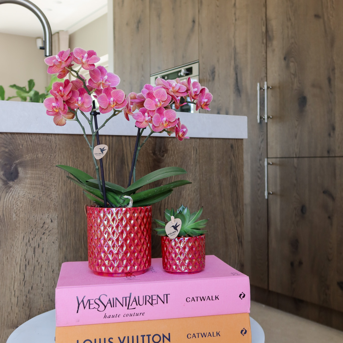 | rode phalaenopsis orchidee Congo + Pearl Pot rood - potmaat Ø9cm | bloeiende kamerplant - vers van de kweker